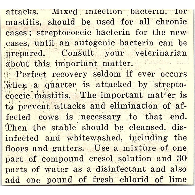 The Newton Remedy Co Horse Care Toledo Ohio 1924 Ad AG3-S18
