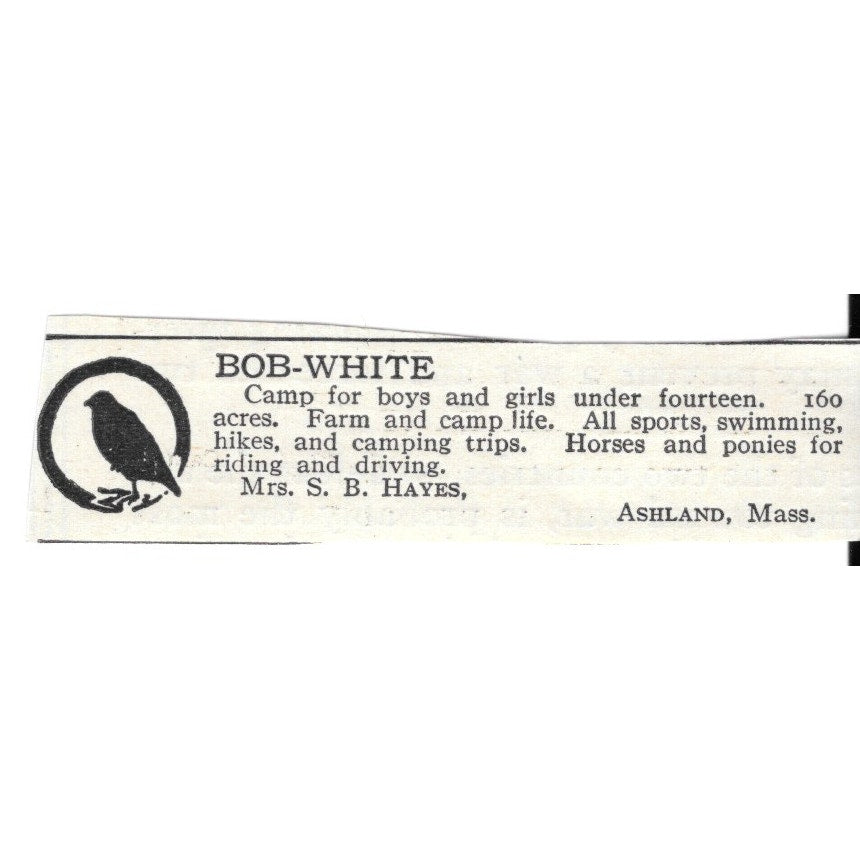 Bob-White Ashland MA Mrs. S.B. Hayes c1920 Harper's Magazine Ad AG4-S8