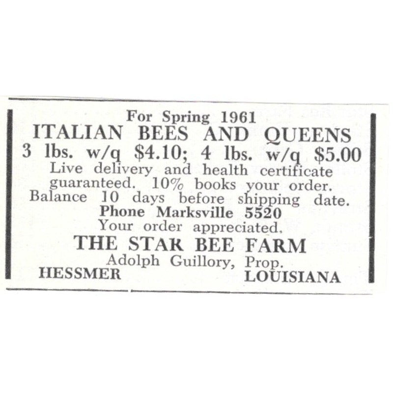 Italian Bees The Star Bee Farm Adolph Guillory Hessmer LA 1961 Ad AK6-S13