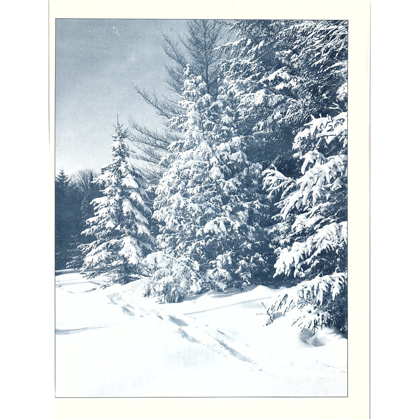 Retro Kitsch 1950's Christmas Tree Litho 8x11" Art Print V22