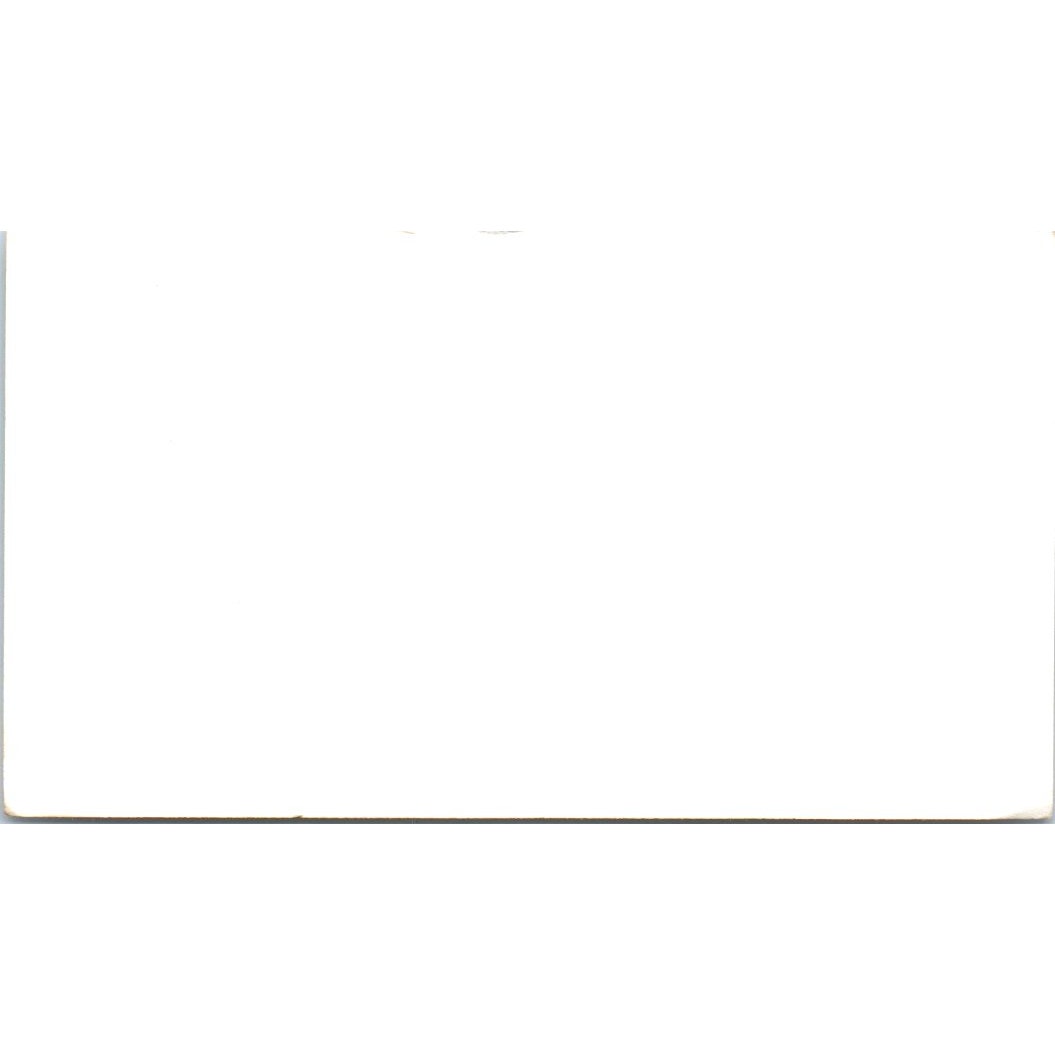 Diane Motor Inn Houston TX Vintage Business Card SE3-B1