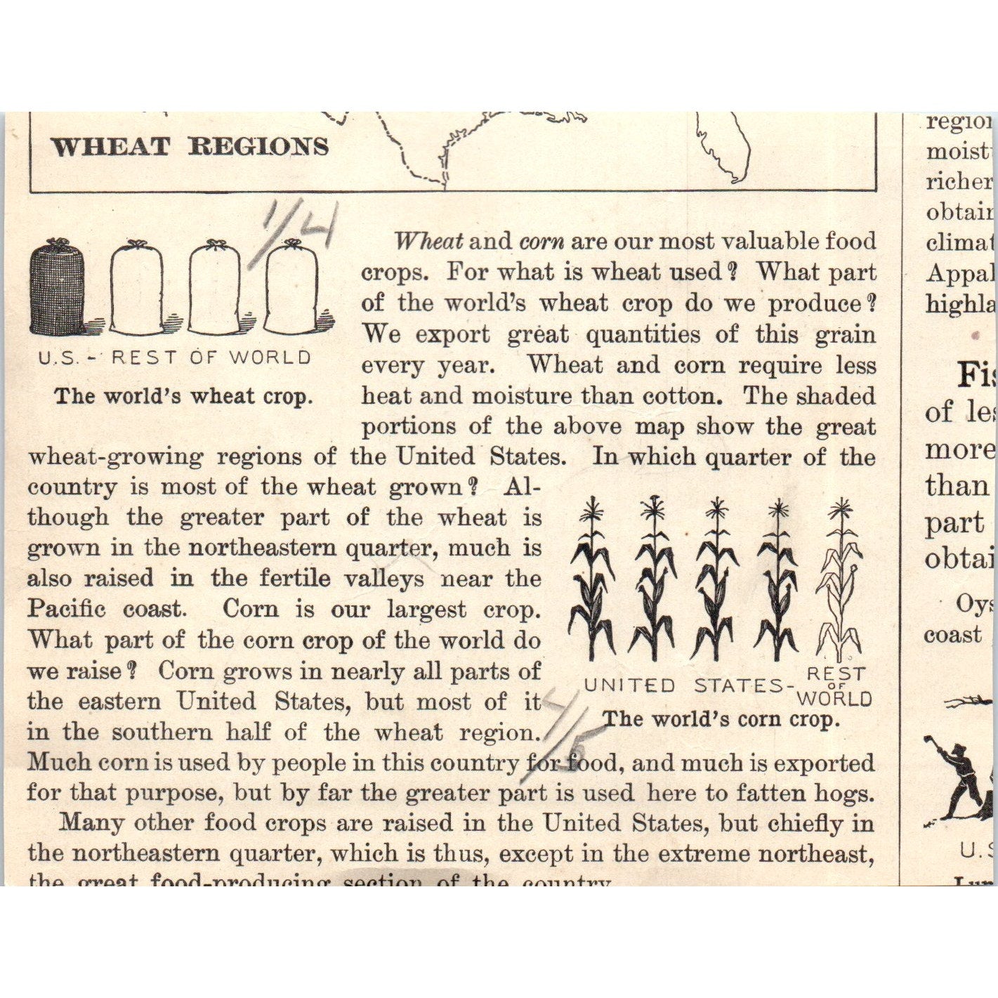 Immigrants Landing at New York City 1901 Engraving AF2-A6