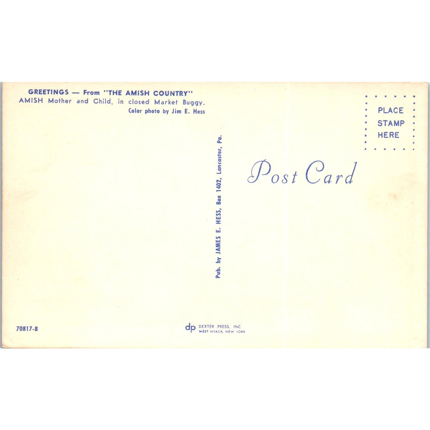 Amish Mother & Child in Market Buggy Pennsylvania Dutch Country Vtg Postcard PD5