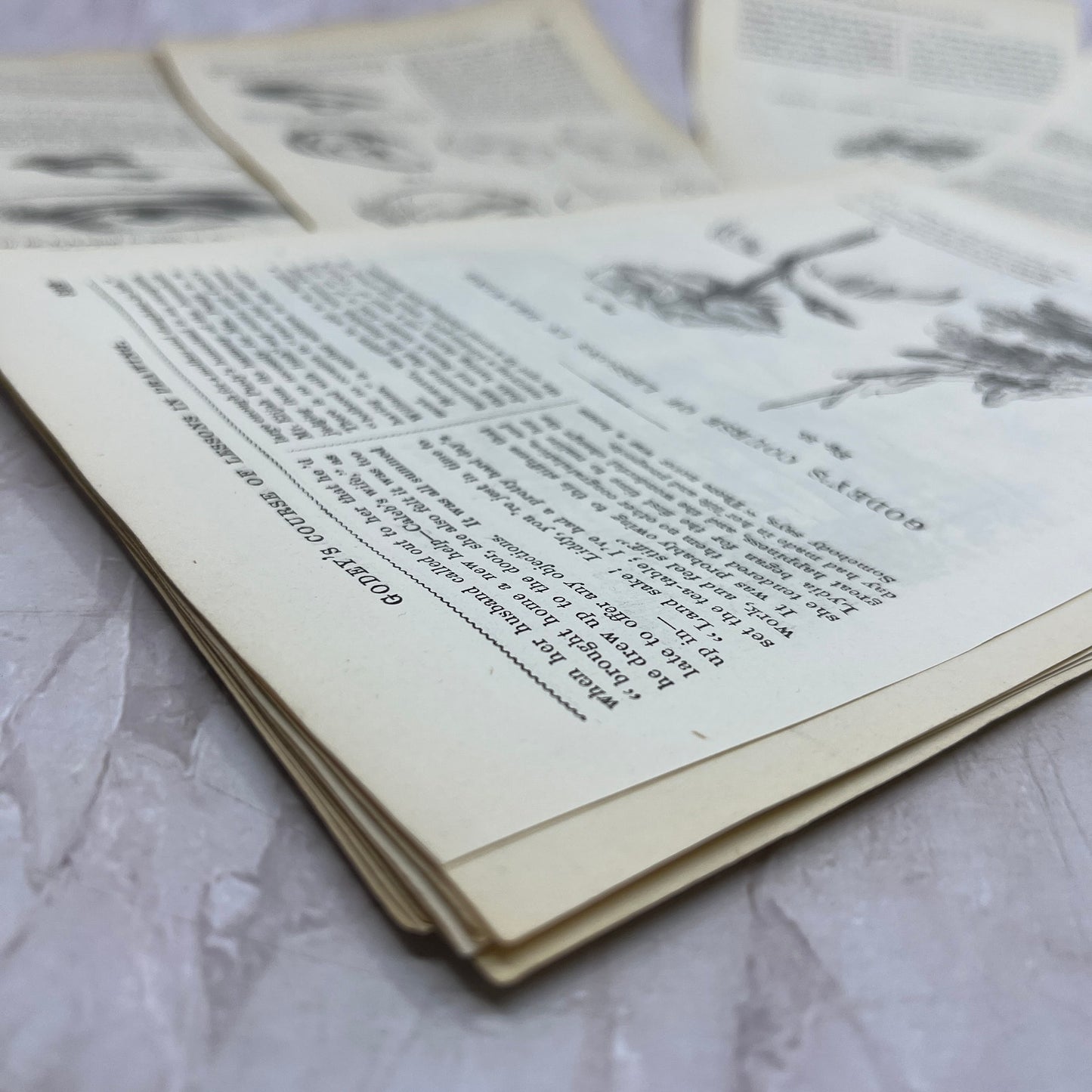 Huge Lot of Original Assorted Drawing Lessons From 1857 Godey's Book TH9-MG3
