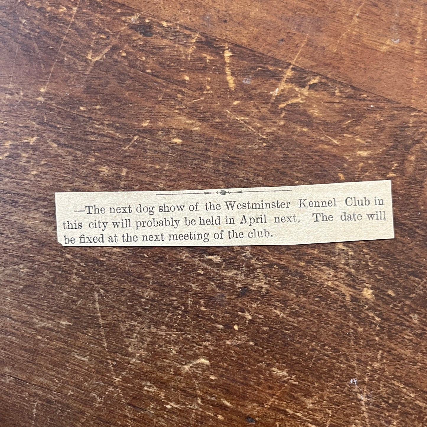 Nov 1878 Westminster Kennel Club Upcoming Dog Show 1878 Clip AG2-S17