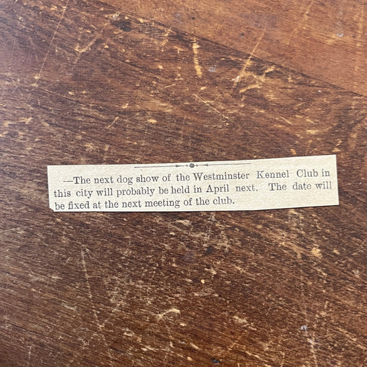 Nov 1878 Westminster Kennel Club Upcoming Dog Show 1878 Clip AG2-S17