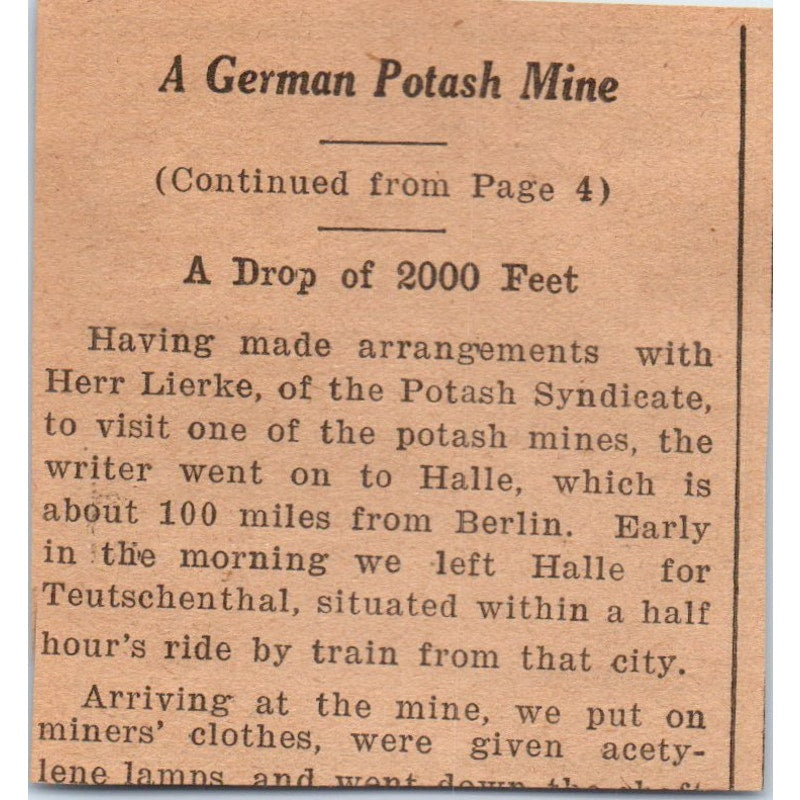 Silver Ward Hatchery Baby Chicks Zeeland Michigan 1922 Magazine Ad AF2-S8