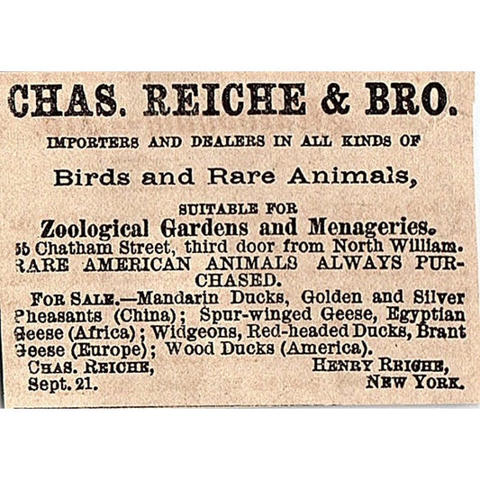 Chas Reiche & Bro Birds and Rare Animals New York 1878 Ad AG2-M15