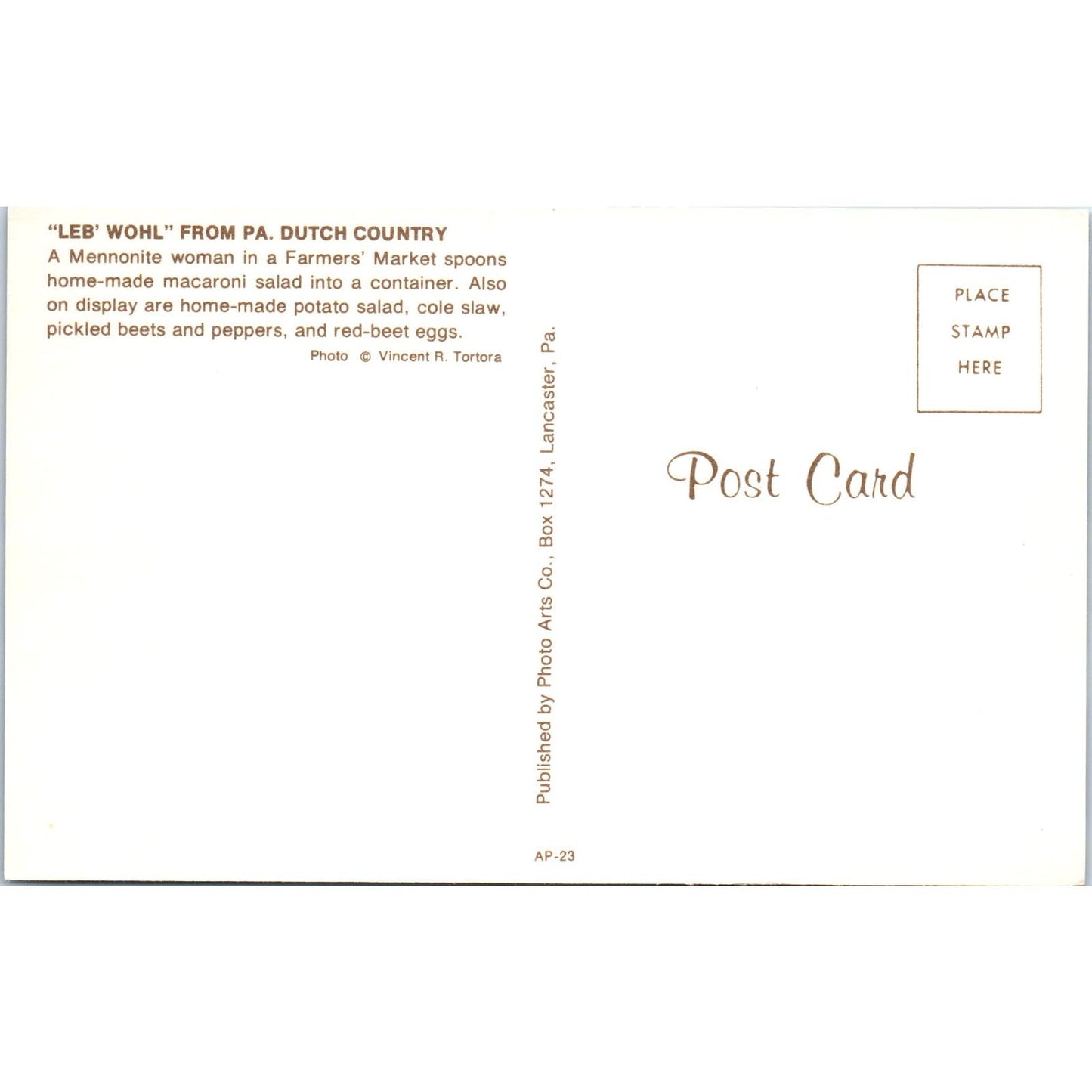Leb' Wohl Mennonite Woman Pennsylvania Dutch Country Vintage Postcard PD5