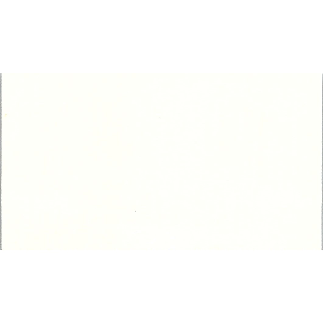 Lisa Vidovic Paper Creations Orland Park IL Vintage Business Card SC9-B8