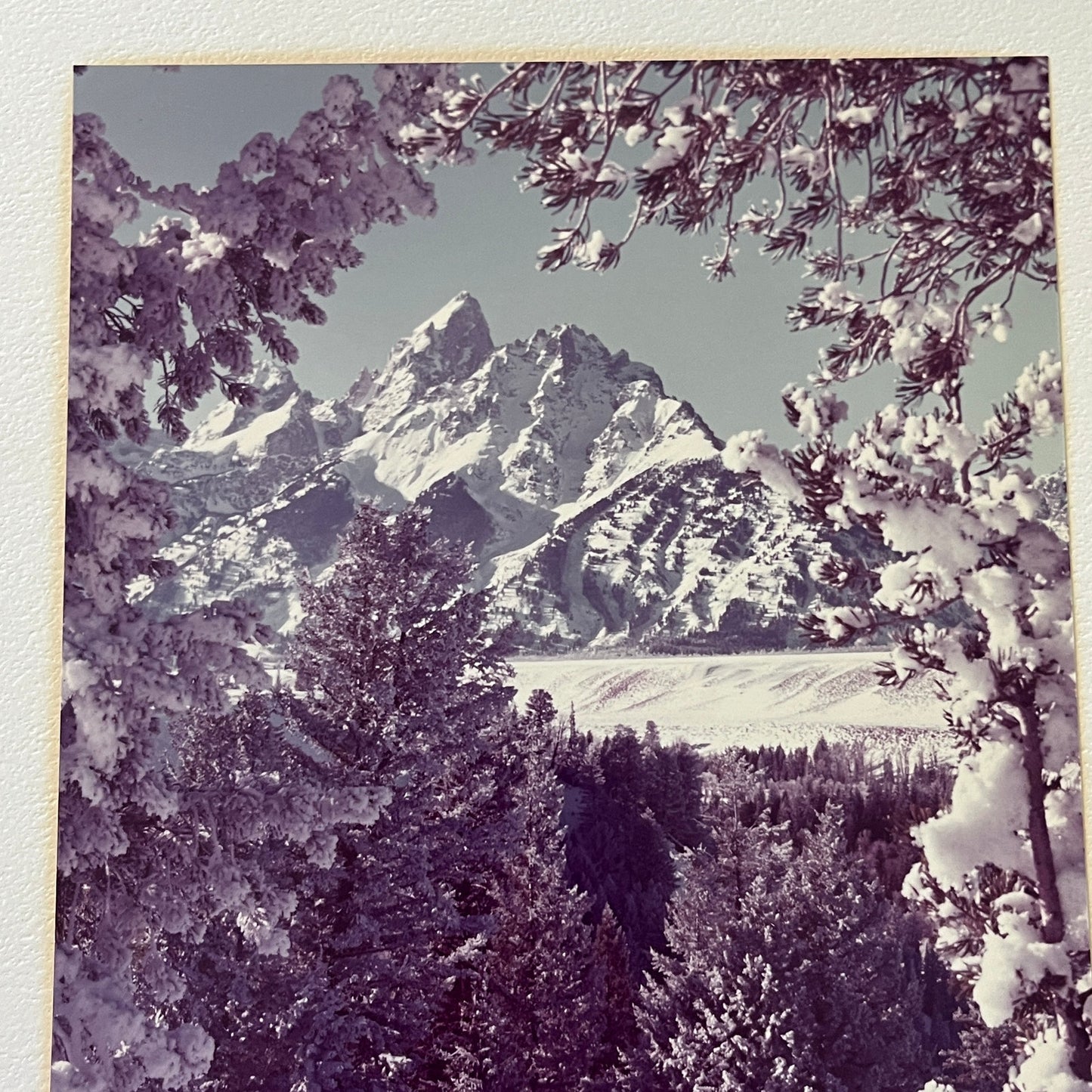 1966 Signed Abi Garaman Grand Tetons Photograph Jackson Hole WY 11x14" FL6-11