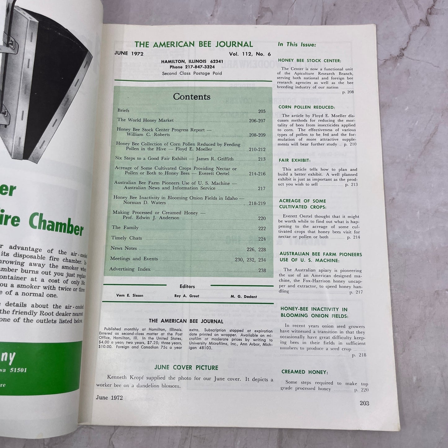 1972 June - American Bee Journal - Bees Beekeeping Honey M32