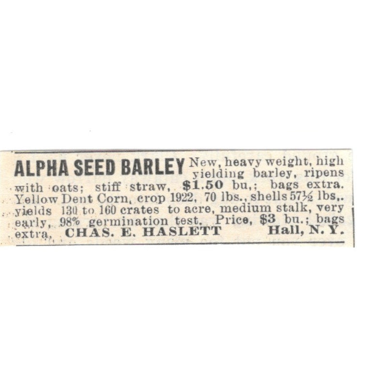Chas. E. Haslett Alpha Seed Barley Hall NY 1924 Ad AG3-S5