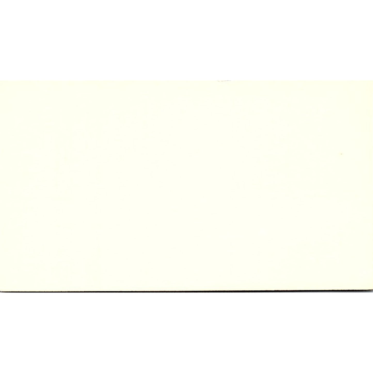 Texas Board On Aging Jerry Ribnick Austin Texas Vintage Business Card SF3-B3