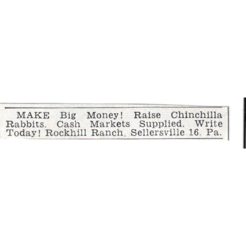Raise Chinchilla Rabbits Rockhill Ranch Sellersville PA 1955 Ad AG1-S2
