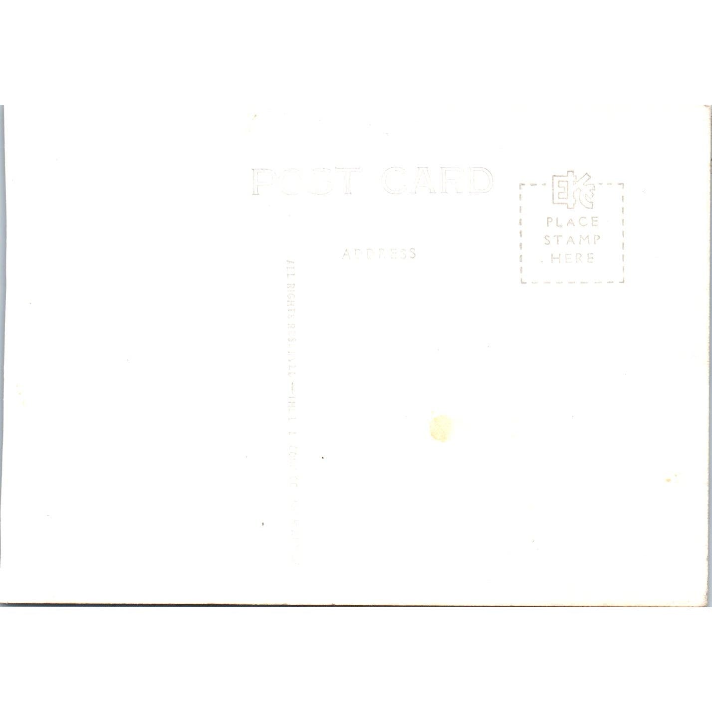 Stalactite Room Crystal Cave Spring Valley Wisconsin Vintage Postcard AB9