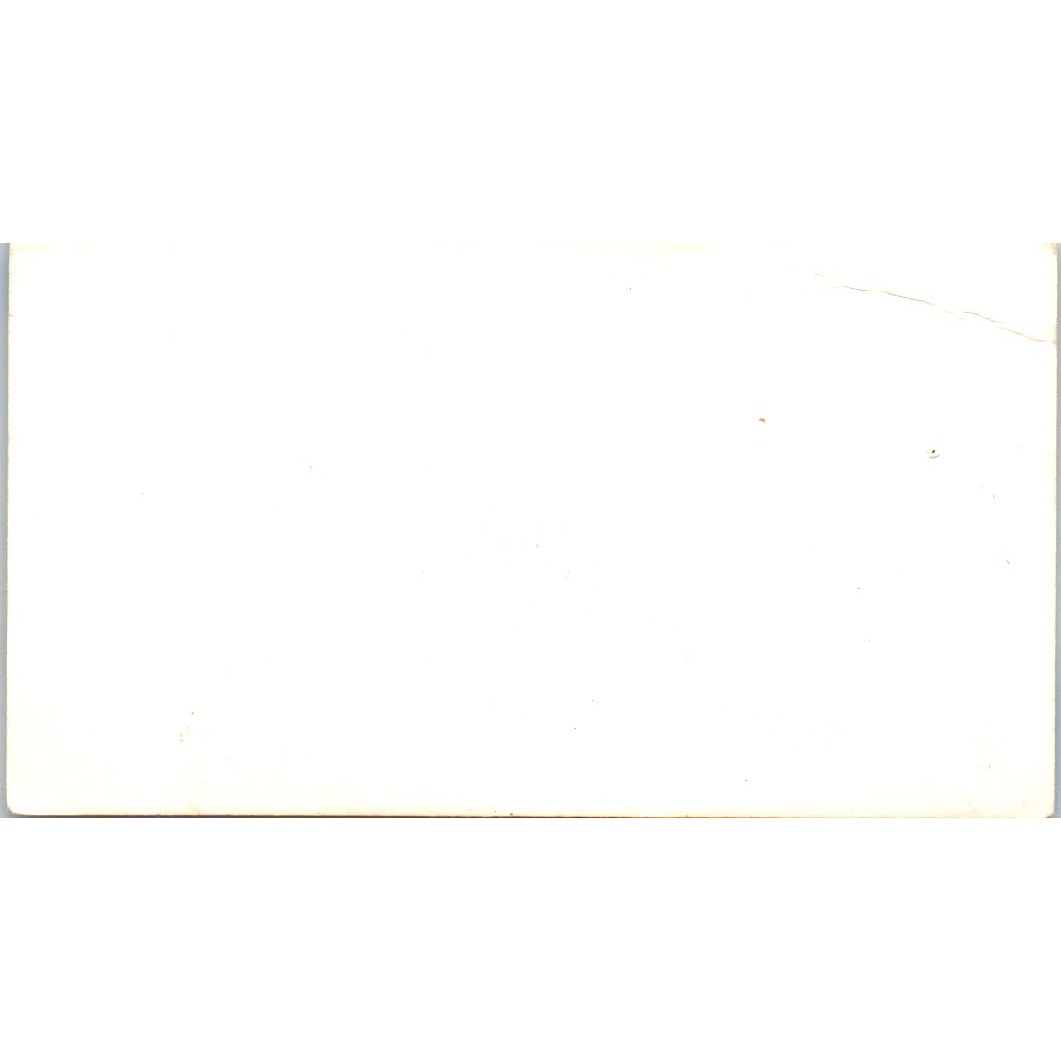 Helen Bingham D. Van Lizzen Realty Long Beach CA Vintage Business Card SD4-B5