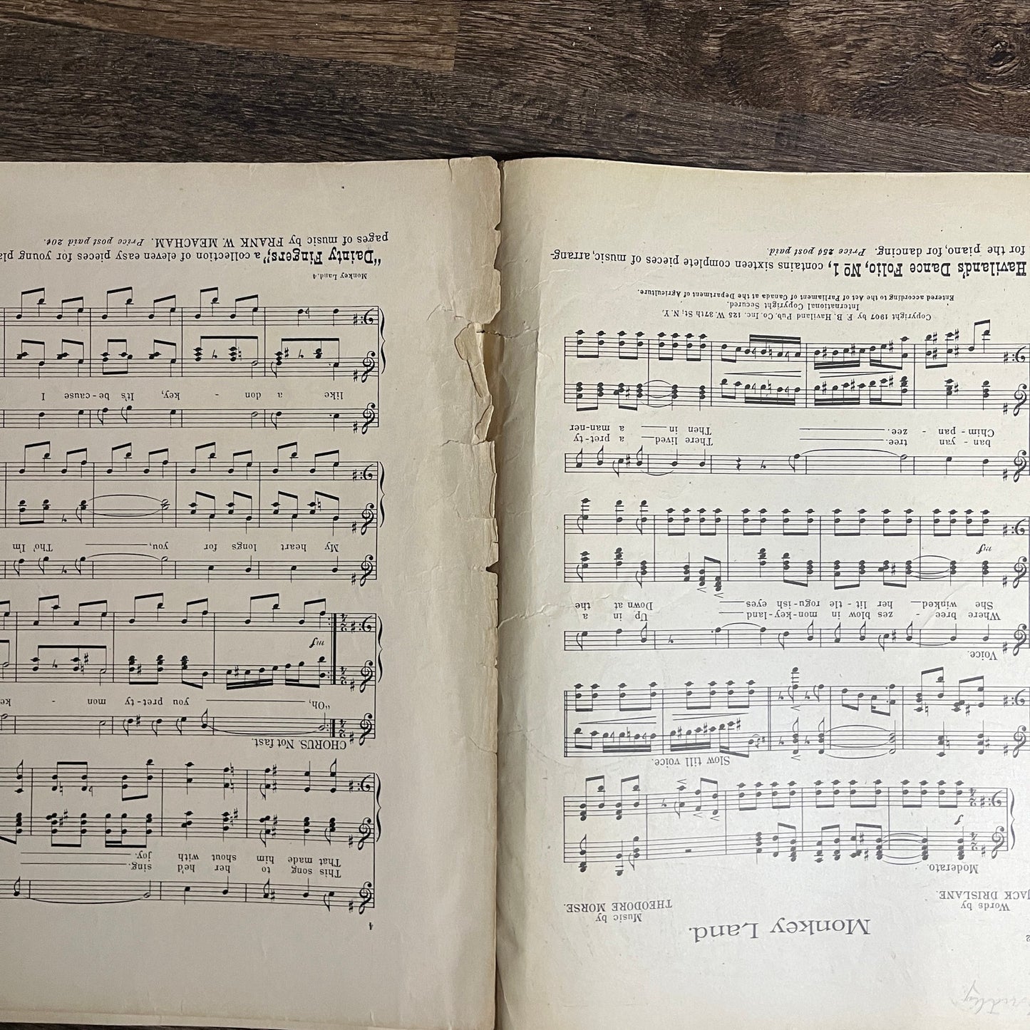 Monkey Land Jack Drislane Theodore Morse 1907 Sheet Music V13