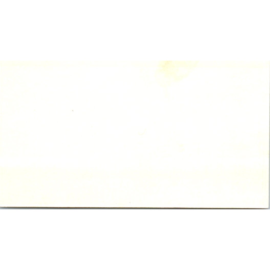 The Orange Duck Art Lauren & Larry Lewis Nevada City Business Card SD8-B19