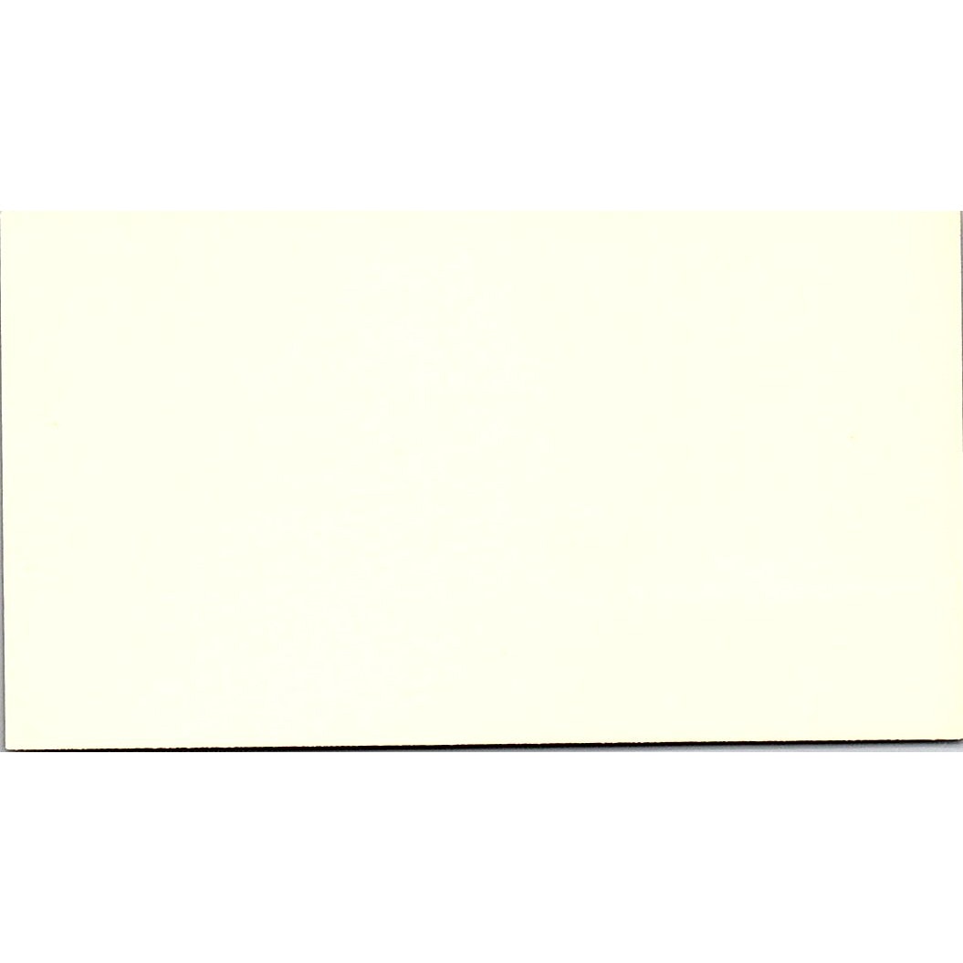 Barry I Levine & Co CPA Bellaire TX Vintage Business Card SD9-B1