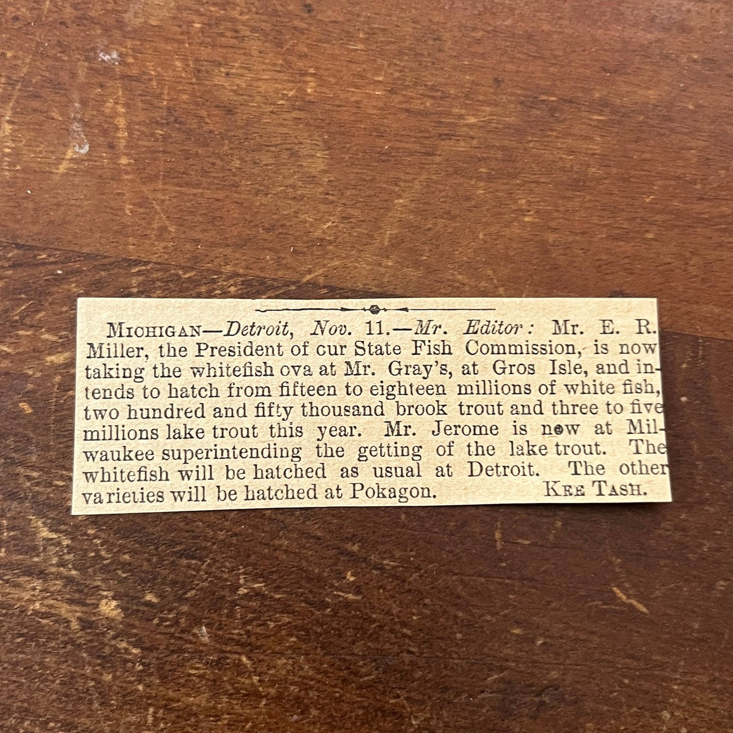 E.R. Miller Hatching Whitefish from Mr. Gray's at Gros Isle 1878 Article AG2-S16