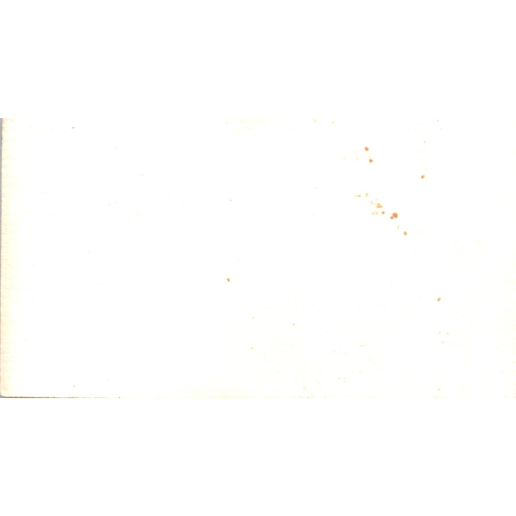 Carolyn McDonald Charles Rhodes ERA Realty Houston Vintage Business Card SD4-B5