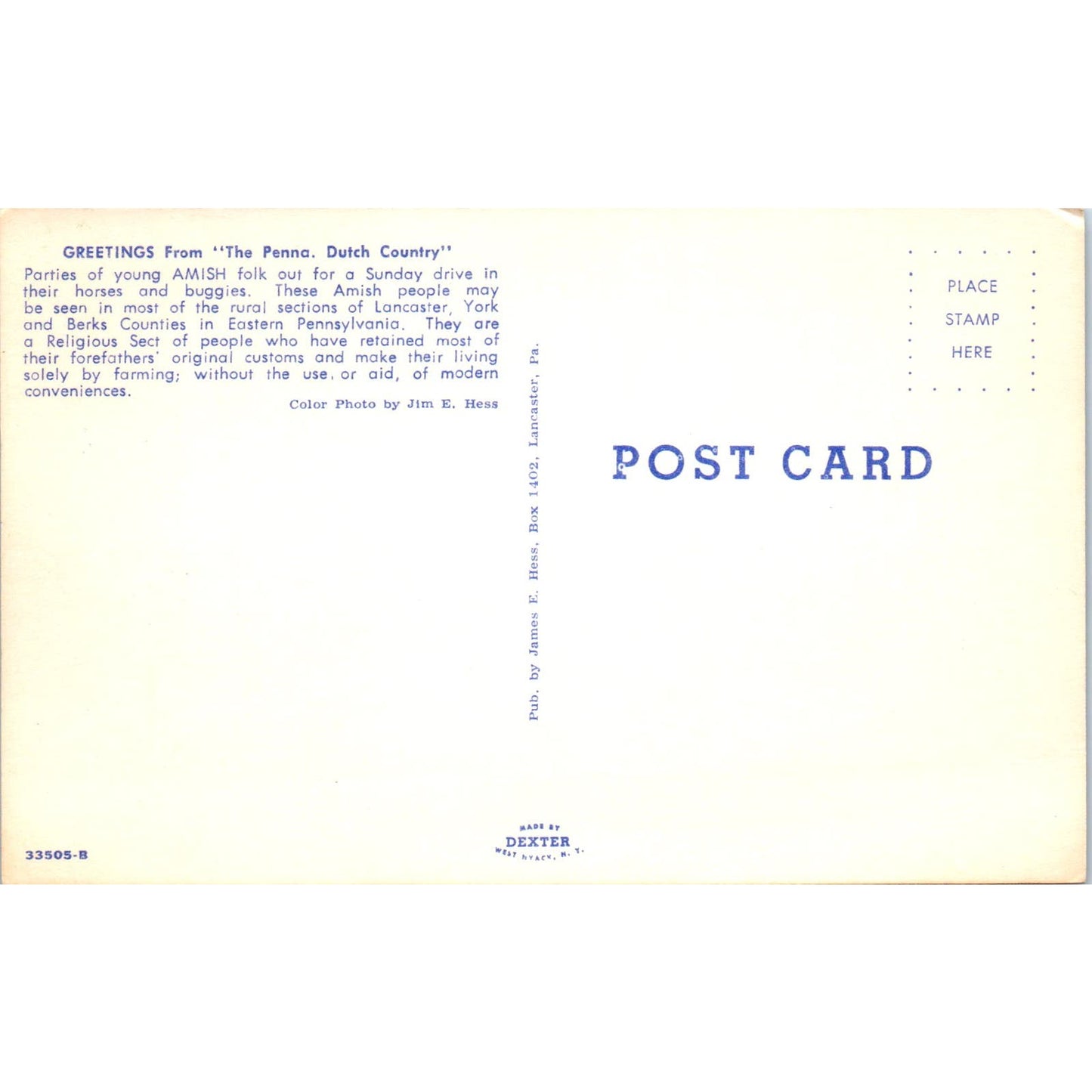 Young Amish Folk on Sunday Buggy Ride Pennsylvania Dutch Country Postcard PD8