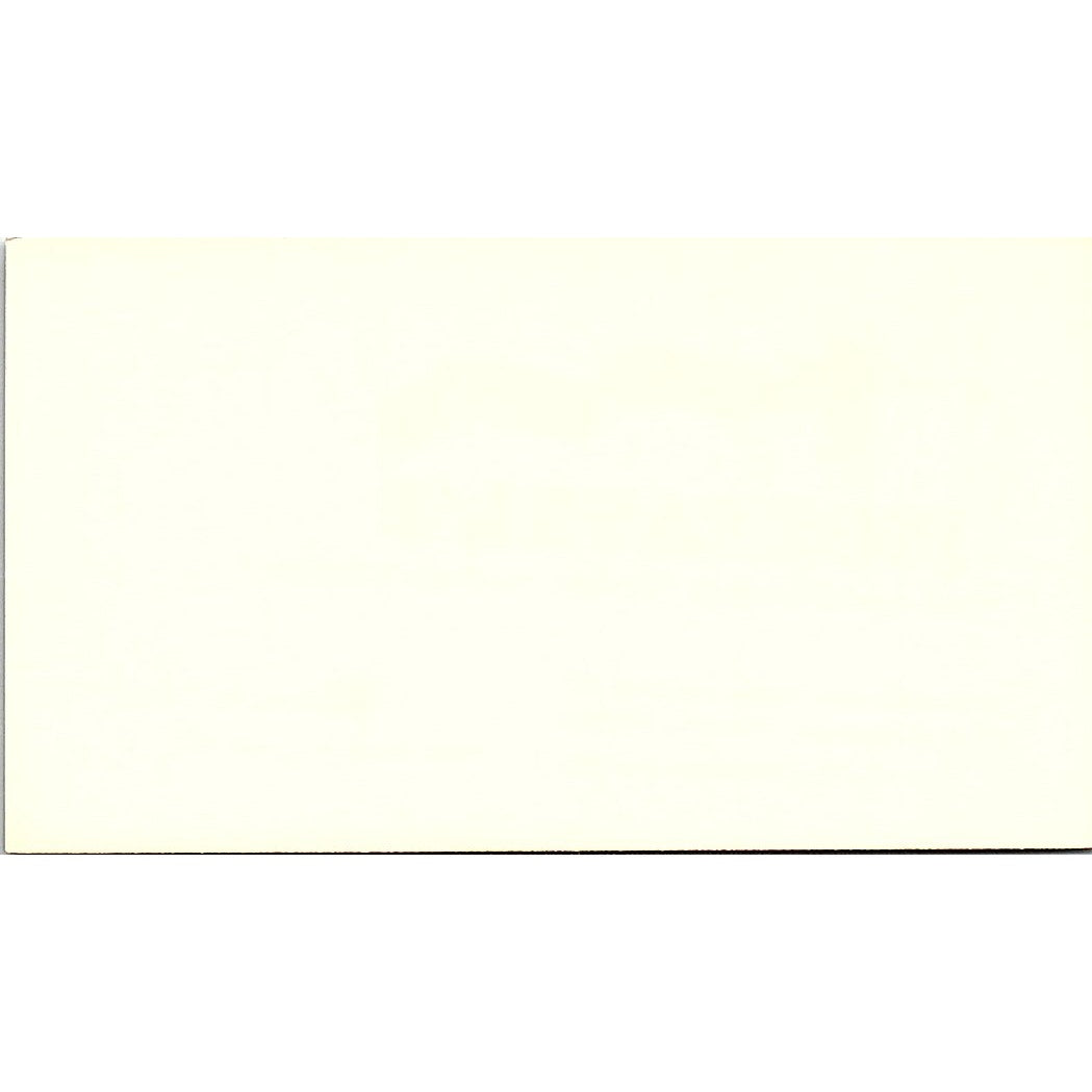 New Leaf Plant Co. Brian Lustgarden Los Angeles CA Vintage Business Card SF3-B8