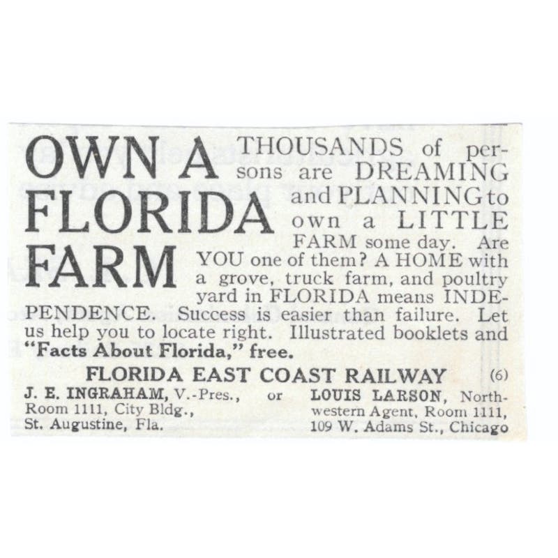 Florida Farms J.E. Ingraham St Augustine Louis Larson Chicago 1913 Ad AE7-N8