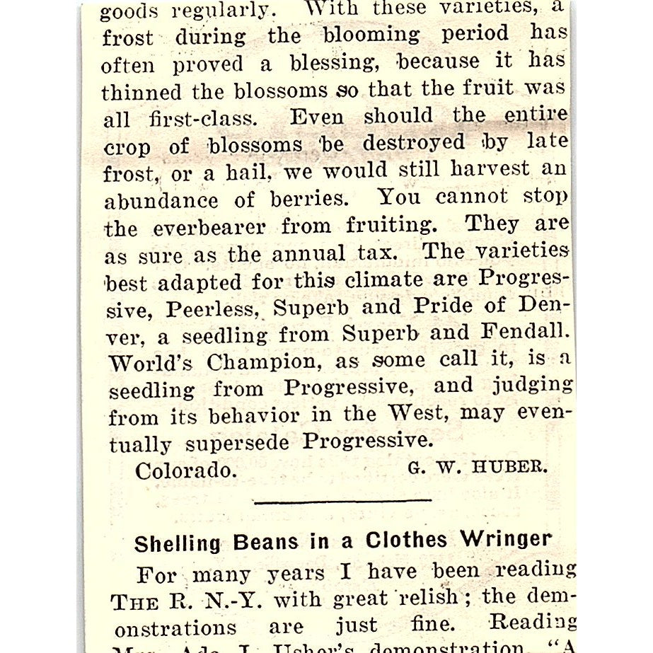 Kelly Bros. Nurseries Fruit Trees Dansville NY 1924 Ad AG3-S16