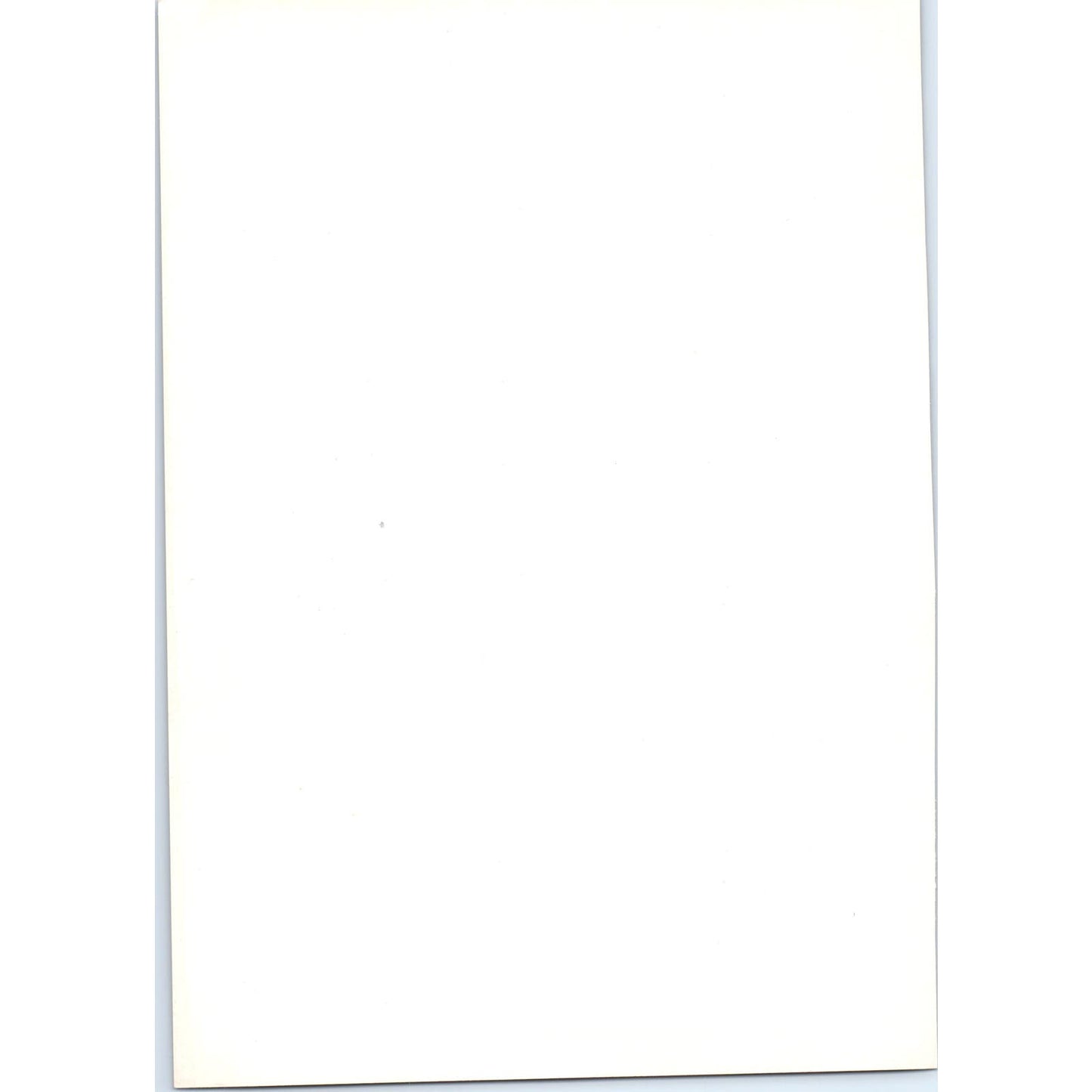 Portrait of Mrs. Campbell of Ballimore - Raeburn c1905 Art Print D16