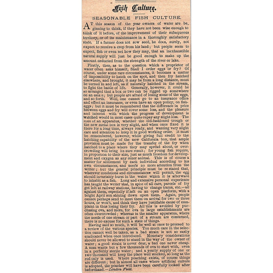 A Seasonable Fish Culture - London Field 1878 Article AG2-7