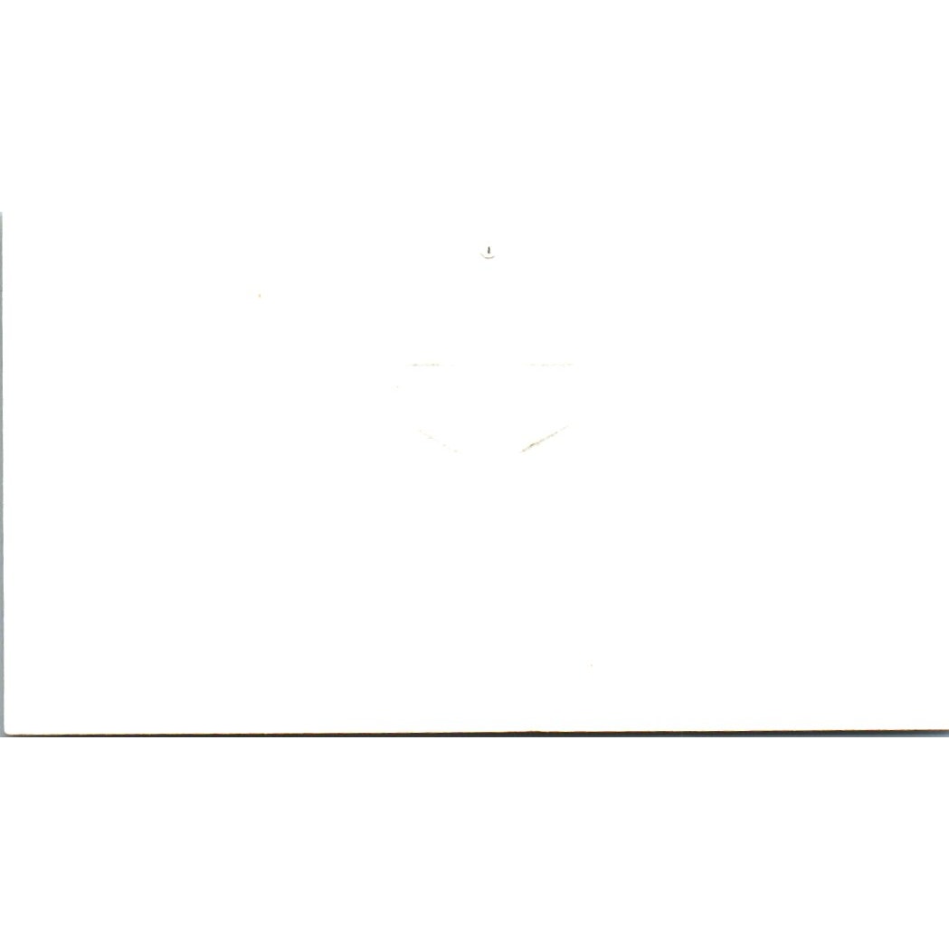 Richard L Dick Klein Selig Chemical President's Club Houston Card SE3-B10