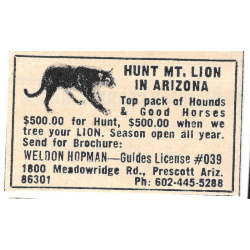 Hunt Mountain Lion Weldon Hopman Guide Prescott AZ 1977 Ad AF6-S3