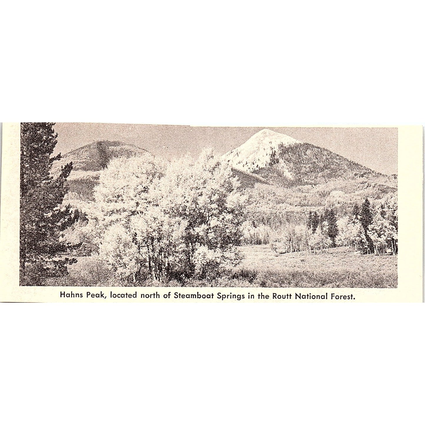 San Miguel Ranch Norwood CO 1958 Ad AG1-M1