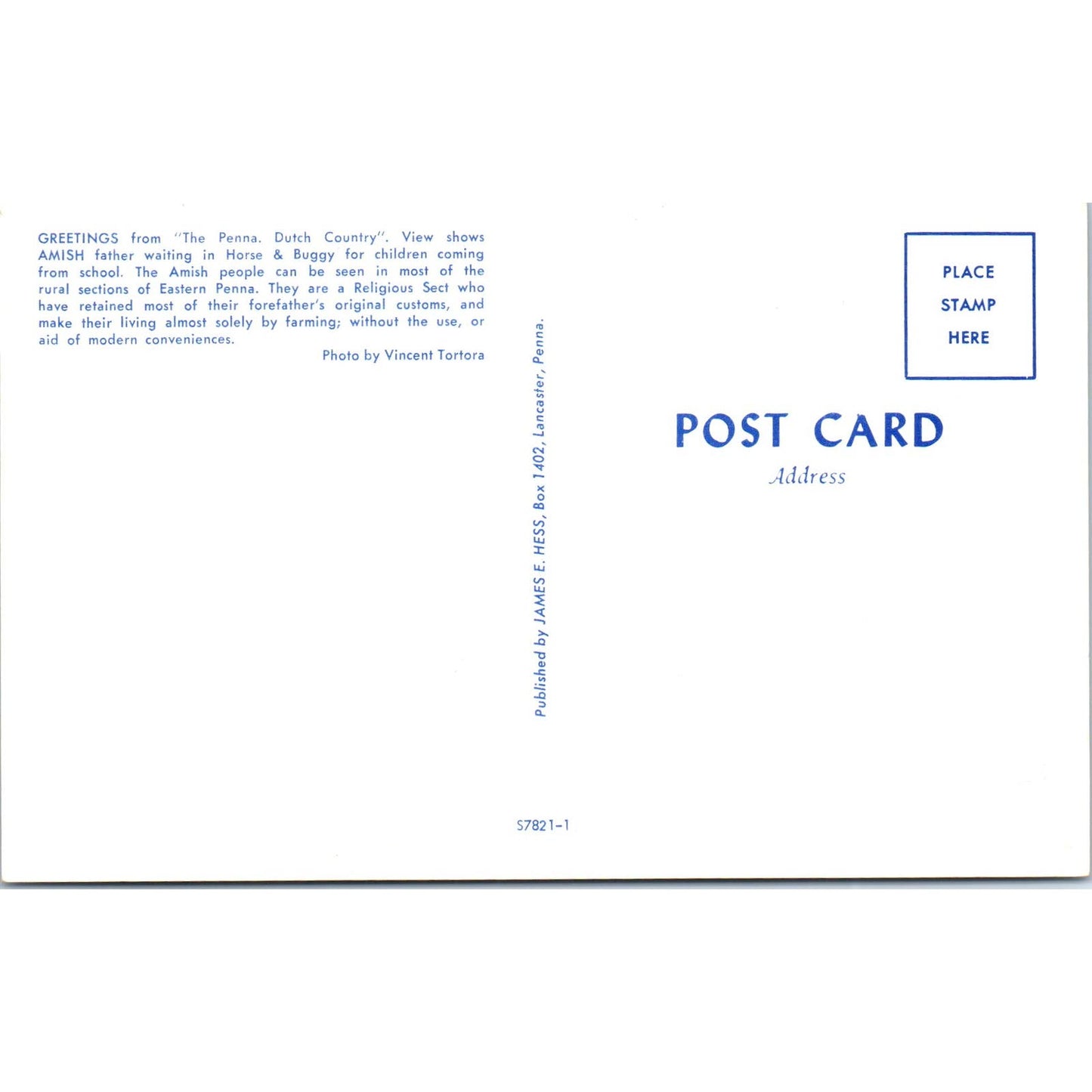 Amish Father Waiting for School Children Pennsylvania Dutch Country Postcard PD5