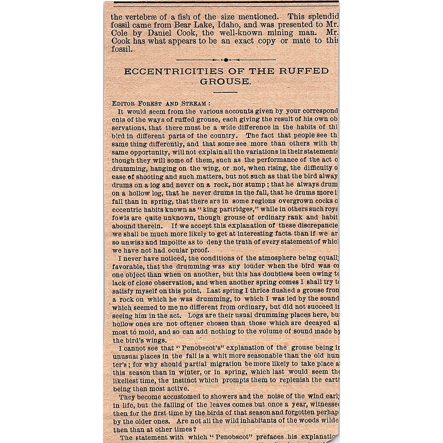 Something About Cutters Yachting J.G. Wheeler West Cowes 3 Pages 1878 AG2-7
