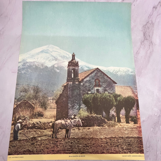 En La Campiña De Mexico - Retro Mexican Art 11.5x14.5" Art Print V22
