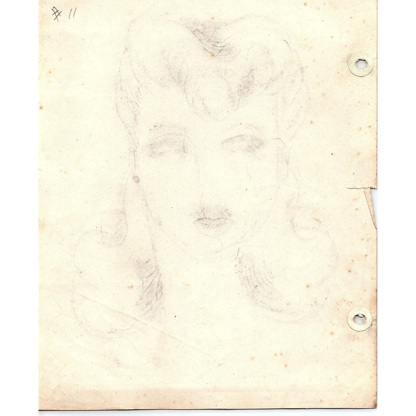 1940s Original Sketch Portrait of a Lady Winifred Schutsky D26-11