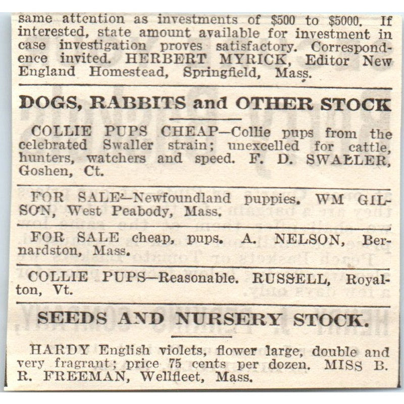 Secure Your Berry Baskets Henry J. Perkins Springfield 1905 Magazine Ad AF1-NH2