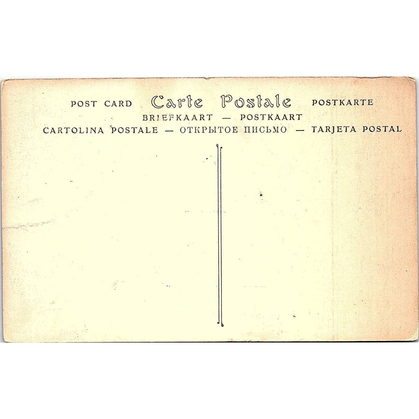 Cauterets Vue Sur Le Cerpenere Et La Cabaliros French Antique Postcard PE15