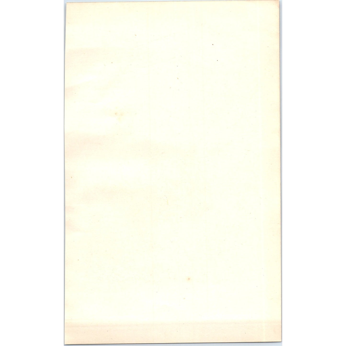 Kingfisher Bird 1903 Original Color Engraving Plate Print AD8-B4