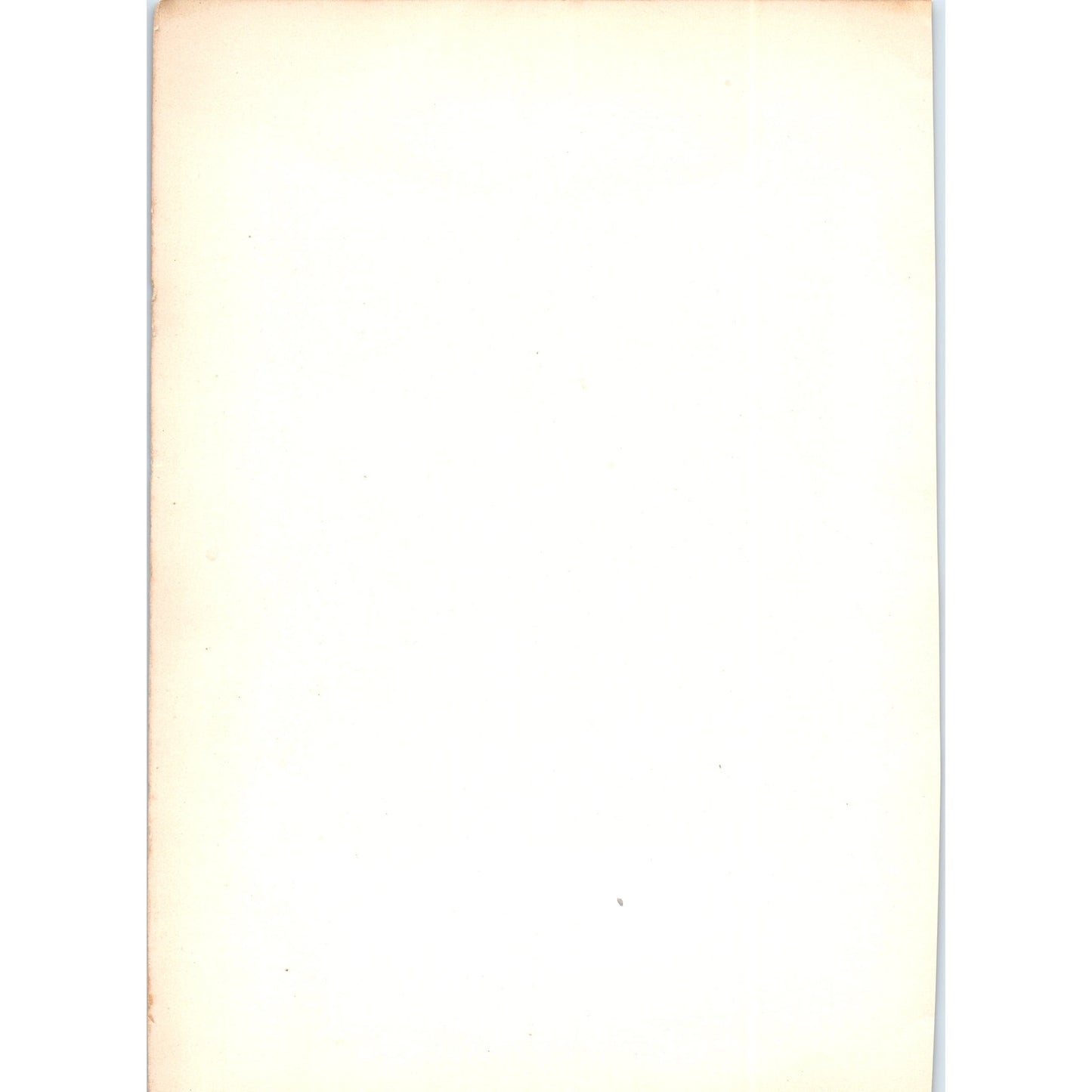 Portrait of the Duke of Norfolk - Holbein 1900 Victorian Art Print AB8-MA8