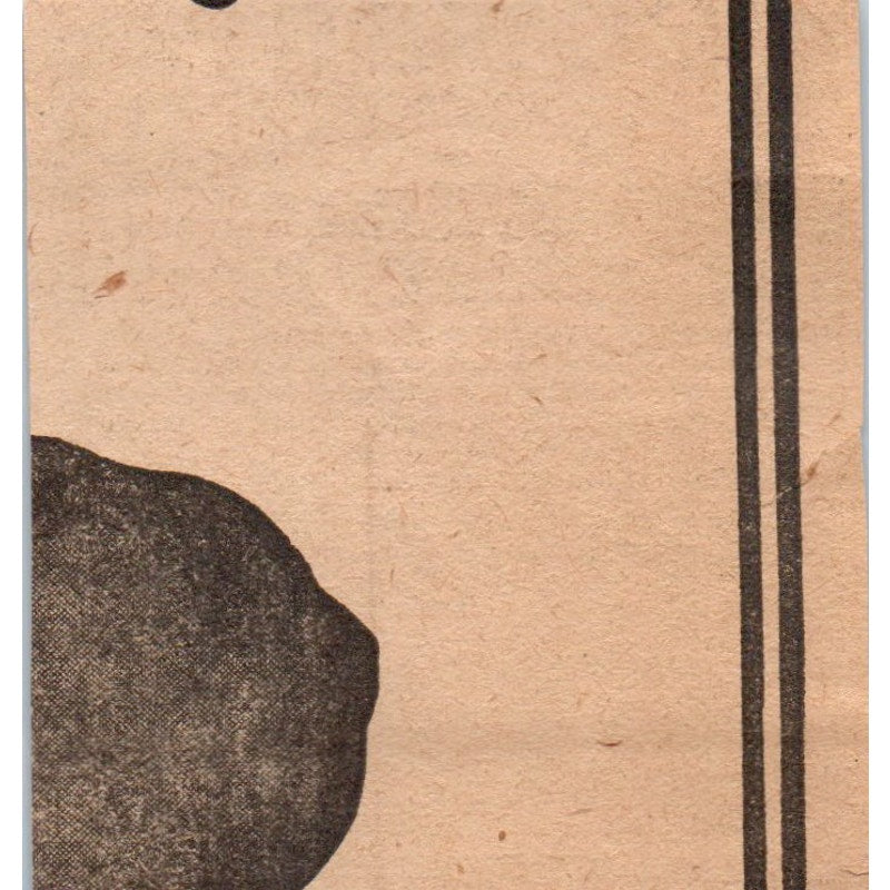 Grower to Sower Seeds Forrest Seed Co Cortland NY 1905 Magazine Ad AF1-NH3