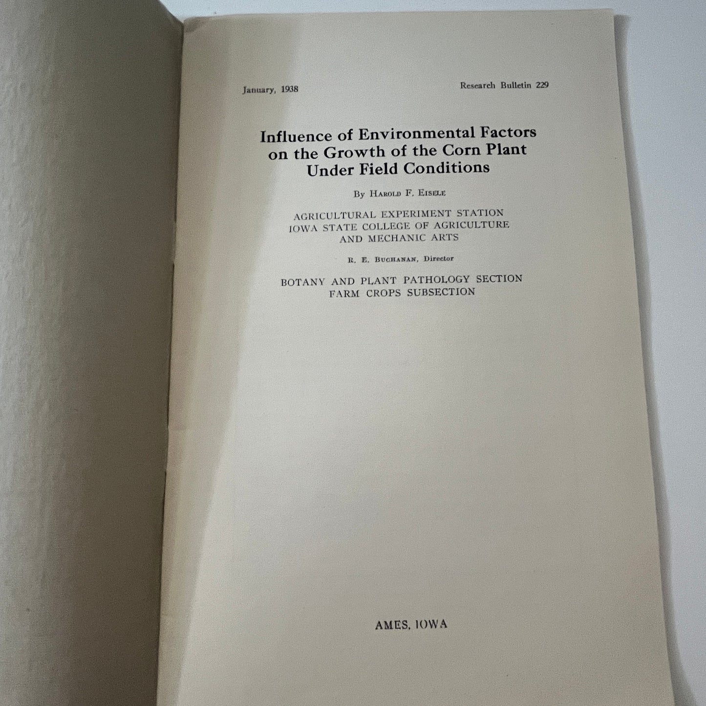 Influence of Environmental Factors on the Growth of the Corn Plant 1938 TK2-XB2