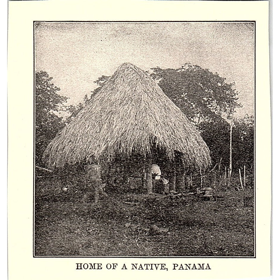 Home of a Native, Panama c1900 Photo AG5-M1