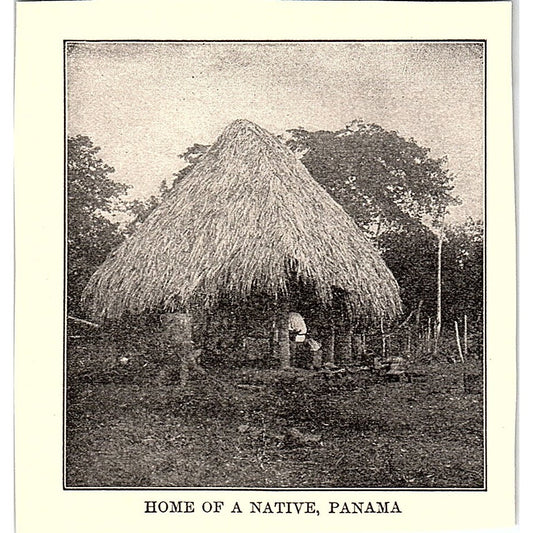 Home of a Native, Panama c1900 Photo AG5-M1