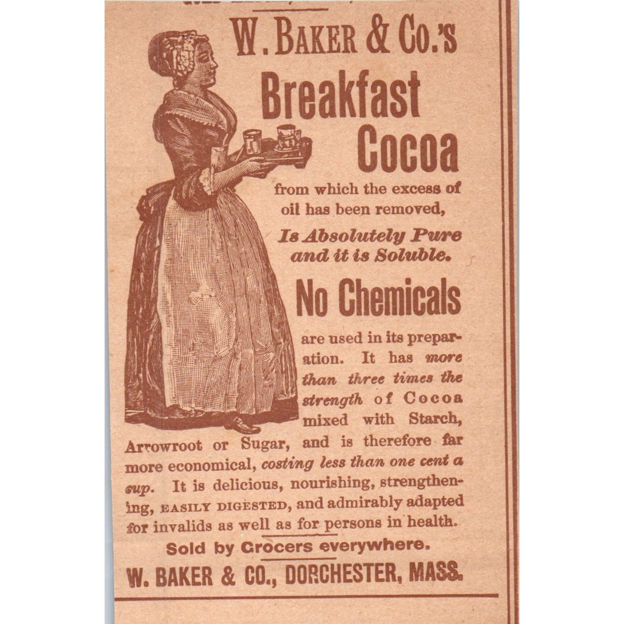 Stiefel's Medicinal Soaps W.H. Schieffelin & Co NY c1890 Victorian Ad AE8-CH6