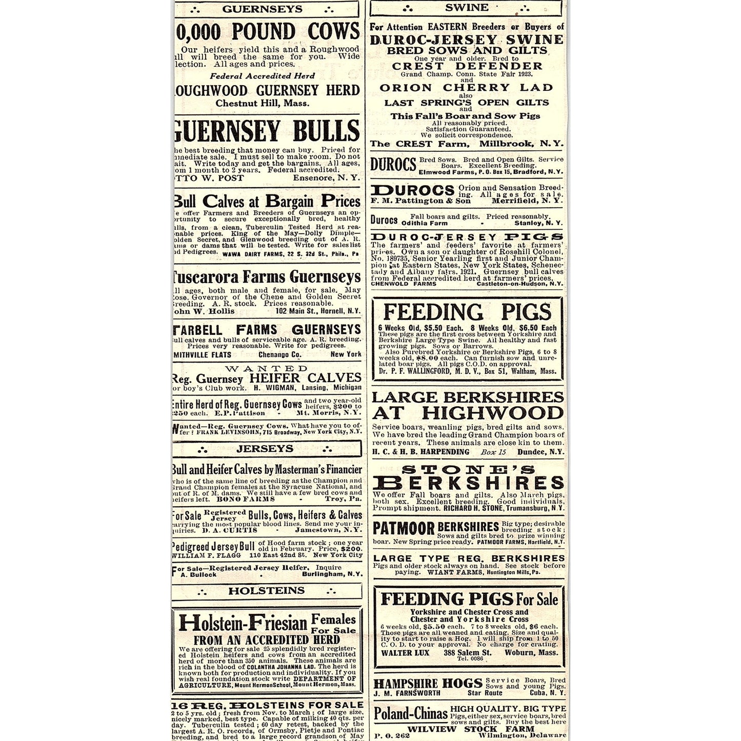 The De Laval Separator Co Cream Separator New York Chicago 1924 Ad AG3-4