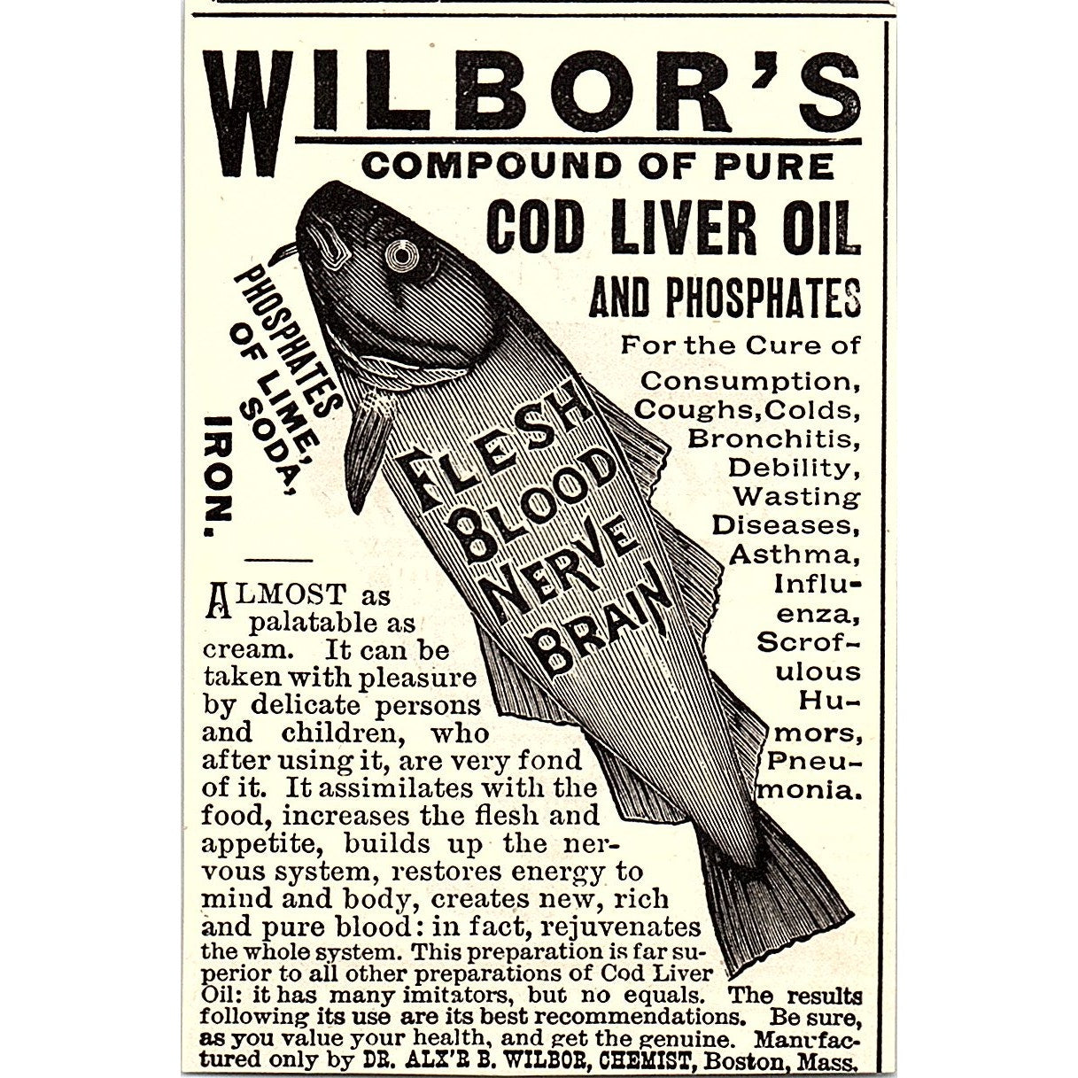 Warwick Perfection Bicycles Warwick Cycle Mfg Co Springfield MA 1892 Ad AG2-M11